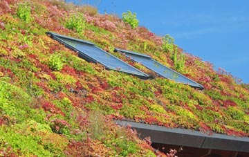 Dyffryn living roof systems