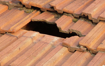 roof repair Dyffryn