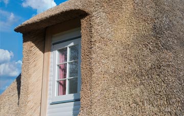 Dyffryn thatch roof disadvantages