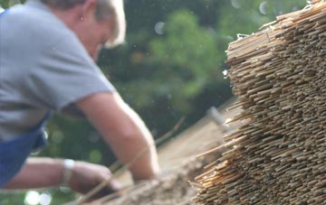 professional Dyffryn thatchers